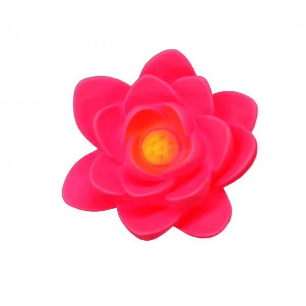 Image du produit 15
